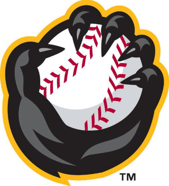 Quad Cities River Bandits 2014-Pres Alternate Logo v2 iron on transfers for T-shirts